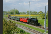 Dampfpendel Egnach