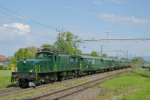 Krokodil in Egnach